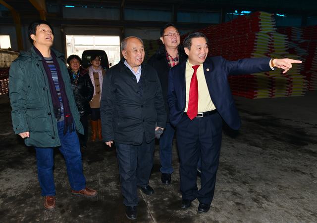 山東翔龍集團