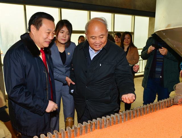 山東翔龍集團