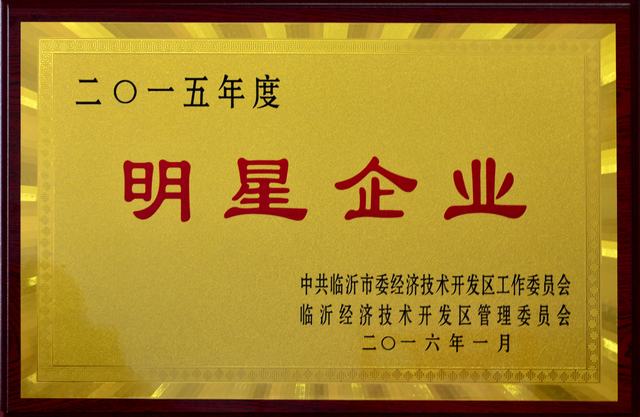 山東翔龍集團