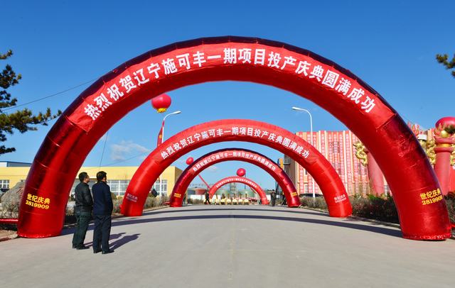 山東翔龍集團