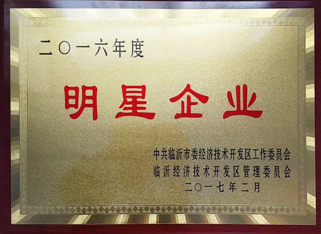 山東翔龍集團