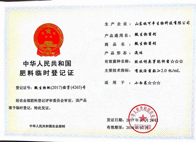 山東翔龍集團