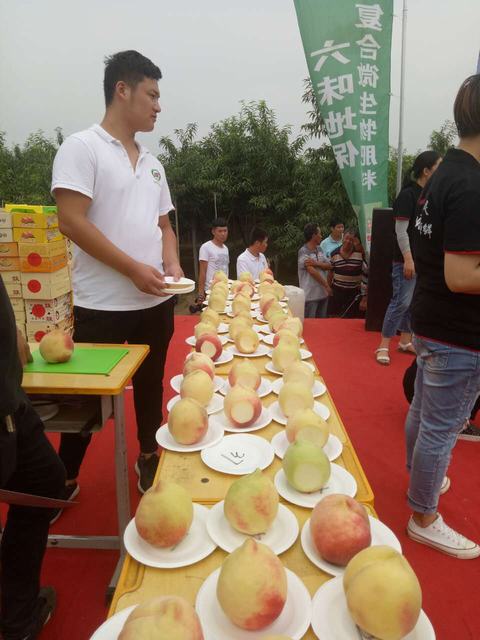 山東翔龍集團