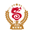 山東翔龍集團