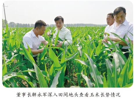 山東翔龍集團