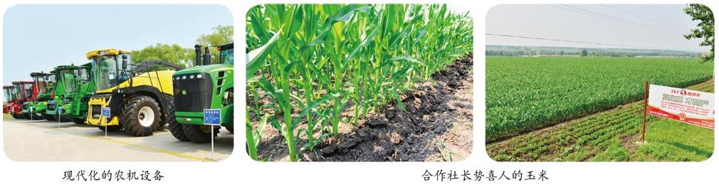 山東翔龍集團