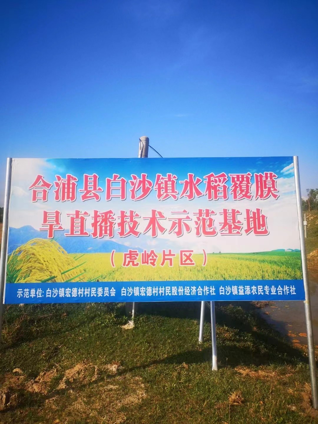 山東翔龍集團