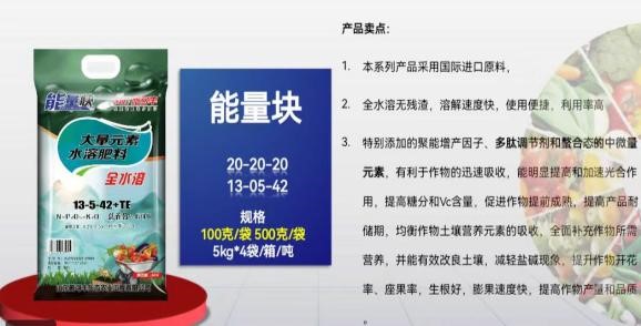 山東翔龍集團