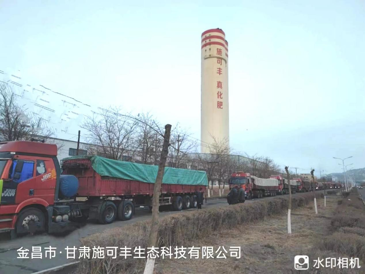 甘肅施可豐4.png