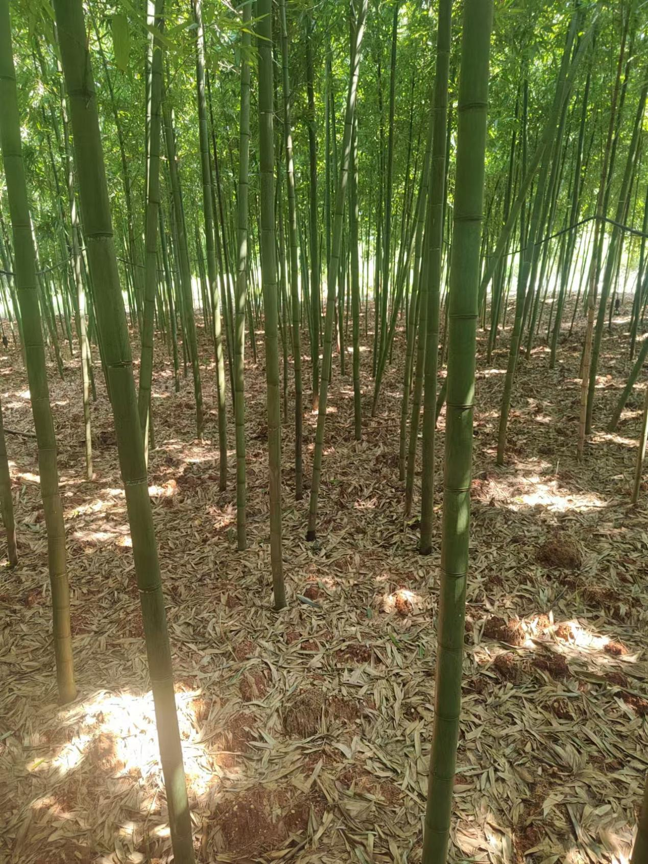 圖片2.png
