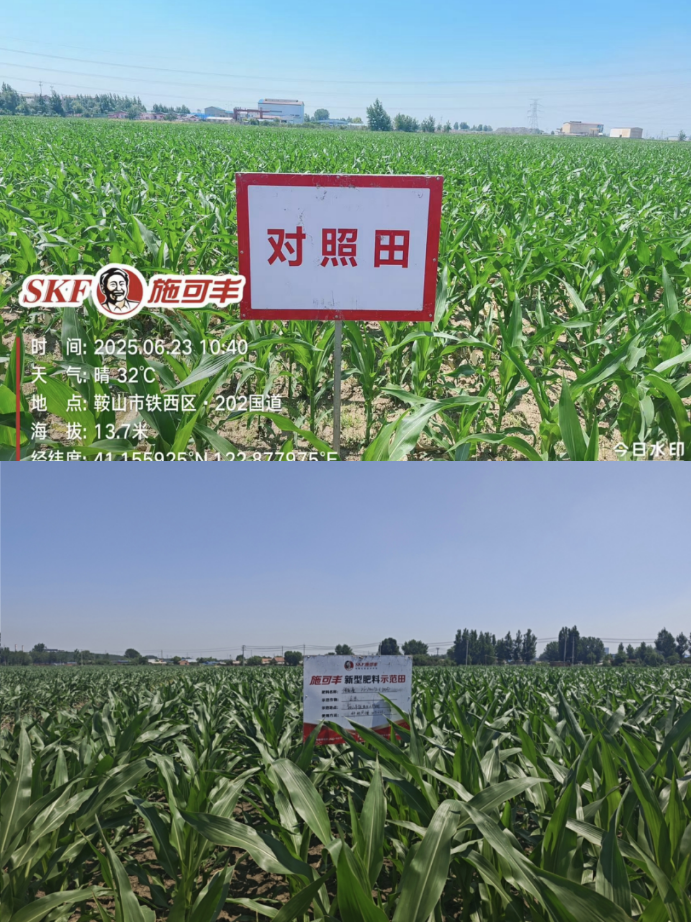56adf60a8858cbb5a76c9423861a472.png