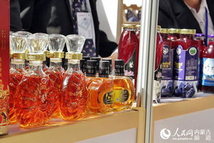 中國(guó) 海拉爾第十一屆中俄蒙經(jīng)貿(mào)洽談暨商品展銷會(huì)6月28日隆重開幕