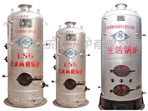 樂(lè)鍋鍋爐汽水兩用鍋爐制造廠