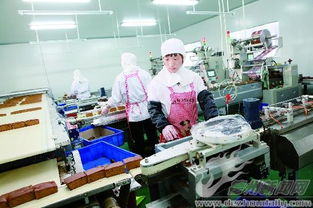 全民創(chuàng)業(yè)正當(dāng)時